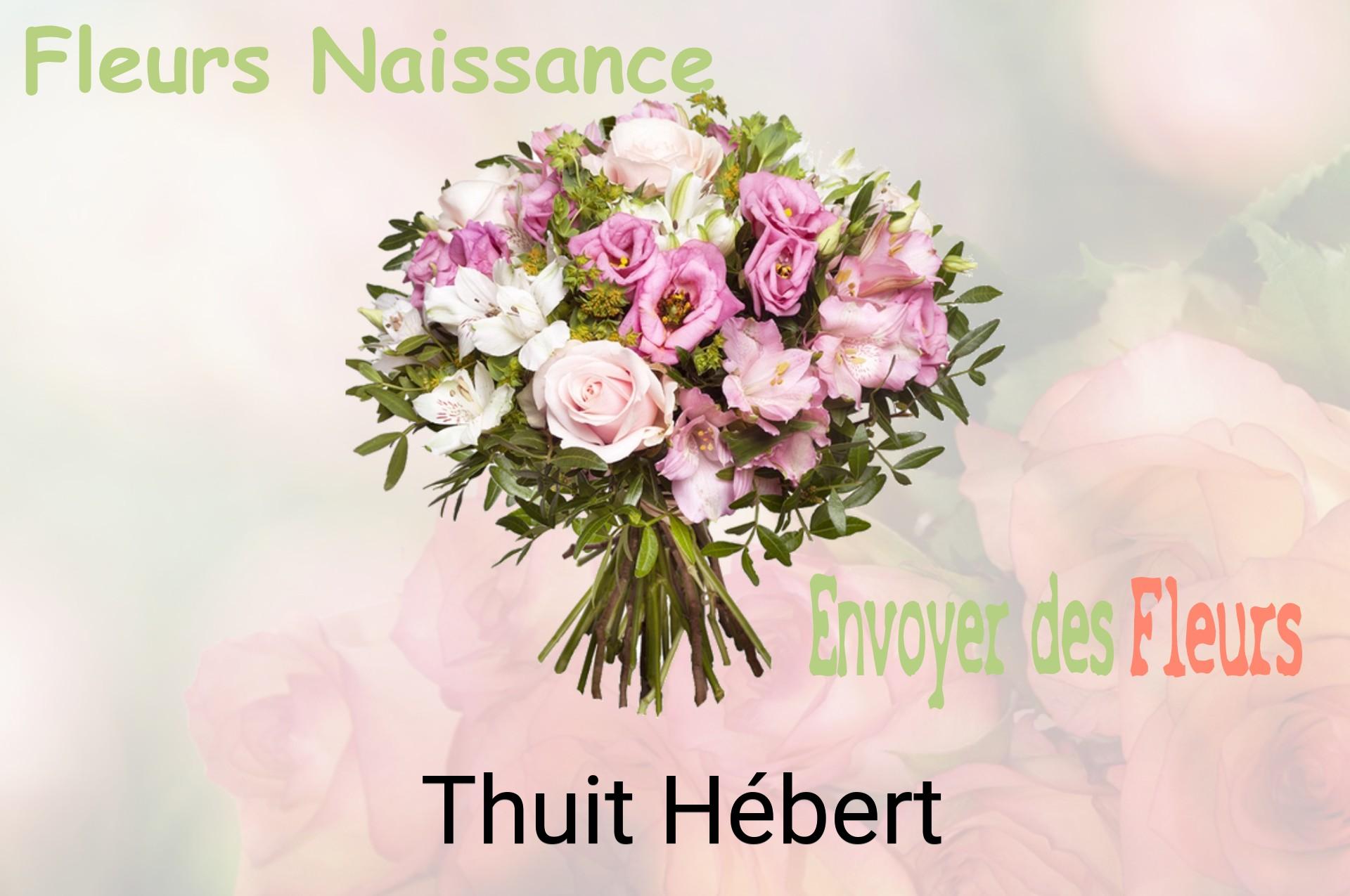Bouquet de fleurs de naissance livré à Thuit-Hébert